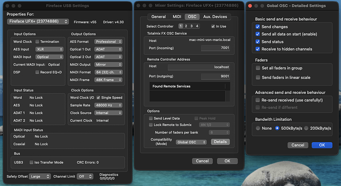 Interface Settings - Detail